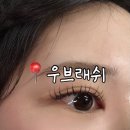 우브래쉬 | 서면 속눈썹연장 우브래쉬 CC컬 연장 후기🖤
