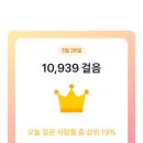 꽃보라동산 이미지
