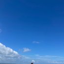 밥스카페 이미지