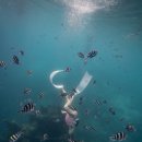 행복할 이유를 찾아드립니다 | 그래도 저는 행복했습니다.