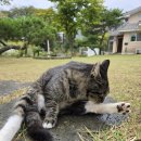 펜션 무이 이미지