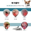 더힐링센터 이미지