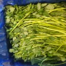 해남 호박고구마~ 부사 사과 이미지