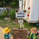 서울근교 실내 애견동반 강화 가볼만한 곳 메타세콰이어숲 메타포레스트 카페 영업시간 후기