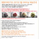 인플라워 이미지
