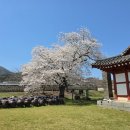 동헌 | 예산군 숨은 명소 대흥동헌 방문 후기