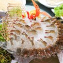 광역투어(셋째주, 일) | 코타키나발루 자유여행 단독 투어 패키지 시티투어 포함 일정 후기
