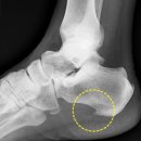 21세기 충주제통의원 이미지