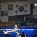 장웅태권도 이미지