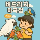 다정동_리치타워앞 | 앵무새카페 버드리치 마곡점 방문후기