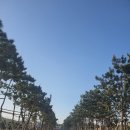 멍 때리는 전망대 이미지