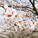 광주 천변길3 이미지