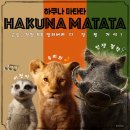 하쿠나마타타 이미지