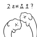 다인복싱클럽 이미지