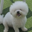 아로하스토리 이미지