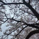 낙동강변로-3 이미지