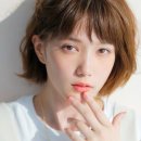 혼다 츠바사 카카오 검색결과