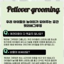 펫러버 그루밍 이미지