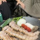 해피포레스트