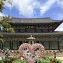 성암미술관 | 충북 보은 카페 추천 폐교 리모델링 일상화카페