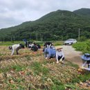 상하수도사업소 이미지
