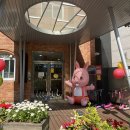 해나무유치원 이미지