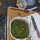 담터오지캠핑장 이미지