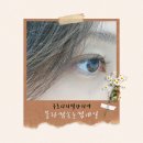 구로디지털단지역 | 구디역속눈썹 추천 | 블라썸속눈썹네일 구로디지털단지역점 속눈썹연장 후기