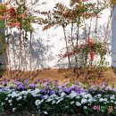 예란꽃방 | 의정부꽃집 예란꽃방 : 학교조경 / 의정부조경 / 초등학교조경 / 양주조경 / 학교정원관리 / 다육이조경...
