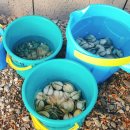 행복비치펜션 이미지