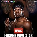 前 NXT 스타 복싱에 도전하다 이미지