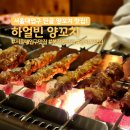 서울대입구 양꼬치 맛집 하얼빈 양꼬치 제대로 즐긴 내돈내산 후기
