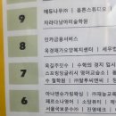 퀸마트 | 옥길동 주짓수 존프랭클 주짓수 일일체험 후기