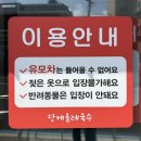 CU제주당케점 | 제주 서귀포ㅣ당케올레국수ㅣ보말칼국수 (+성시경 먹을텐데) 웨이팅 솔직후기