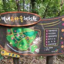 별내 유아숲체험원 이미지