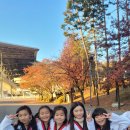 경희대박사문무태권도장