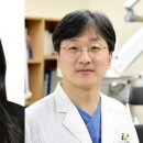 김채원 카카오 검색결과