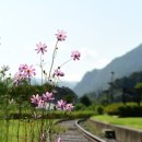 백양리역 | 경춘선 백양리역(폐역) 다녀온 후기