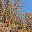 암곡 | 경주 무장산 등산후기 (암곡탐방지원센터→암곡코스→억새구경→무장봉→능선코스)