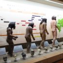 서대문자연사박물관 이미지