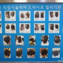 하이클라스 미용실 이미지