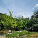 다대레포츠광장옆 공중화장실 | 수도권 근교 여행지 웰리힐리파크 콘도패밀리객실 즐길거리 이용후기