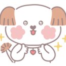 큐티애견 이미지