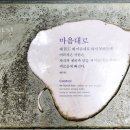 솔향 이미지