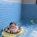 풀홀릭 리조트 펜션 이미지