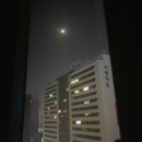 세븐일레븐 거평타운점 | 도미인 서울 강남 호텔 :: 일본여행 그리워서 다녀온 나홀로 호캉스