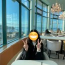 늘 함께하 개 | 2025 11월(2) : 진짜 진짜 가을 끝🍂🍁