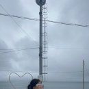 카멜리아민박 이미지