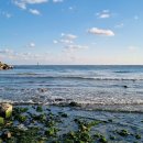 시락국수 이미지