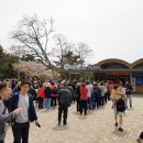 상인초등학교 이미지